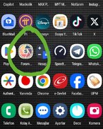 Screenshot_20241113_030043_Nova Launcher.jpg