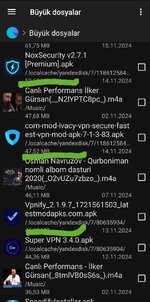 Screenshot_20241116_211246_File Manager +.jpg
