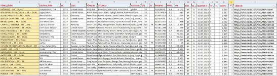 1-1 HDD İÇERİĞİ EXCEL LİSTESİ.jpg
