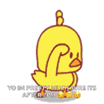 Where are you pepe