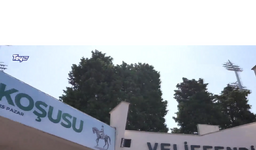 Tay TV.png