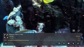 Akvaryum Relax TV 720p.png