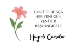 Ekran grnts 2025 07 25 115105