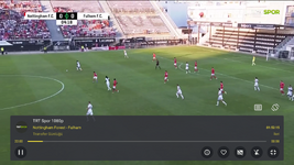 Nottingham Forest - Fulham.png
