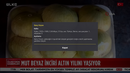 ÜLKE TV 1080p.png