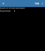 Screenshot_20250809_130746_Pydroid 3.jpg
