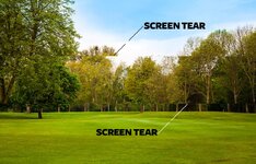 simulated-screen-tear.jpg