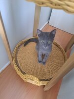 IMG 20250914 WA0003