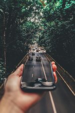 Pexels bertellifotografia 799443