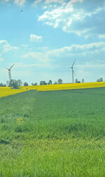 IMG_5132.jpeg