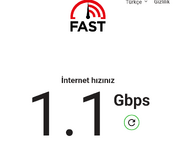 1000111065 1000111065