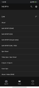 Screenshot 2025 11 15 01 22 21 044 comexamplelionptv