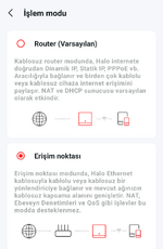 1000113453 1000113453