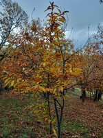 WhatsApp Image 2025 11 28 at 220142 WhatsApp Image 2025 11 28 at 220142