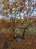 WhatsApp Image 2025 11 28 at 220211 WhatsApp Image 2025 11 28 at 220211