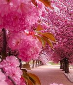 FB IMG 1764368427744 FB IMG 1764368427744