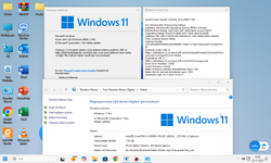 171984082_Windows11x64-2025-11-25-13-52-58.png.d69d14a08a92f355169b2eaf5082ff6f.png 171984082_Windows11x64-2025-11-25-13-52-58.png.d69d14a08a92f355169b2eaf5082ff6f.png
