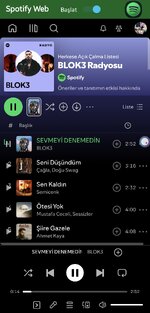 Screenshot 20251223 114807 Spotify Web