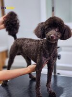 A96ecee20105ae94b5c2110877469846