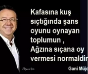 1767004040853 1767004040853