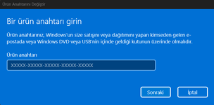 1735499063823.png