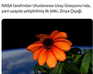 1735545581900