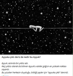 1735550241871.png
