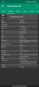 Screenshot 2025 01 09 14 11 12 710 ruandr7edeviceinfohw