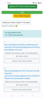 Screenshot 2025 01 12 17 24 06 30 4641ebc0df1485bf6b47ebd018b5ee76