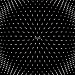 77f1ba64b1089de295b00695ab9f2882.gif