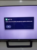 17806881378461461250958285206315.jpg