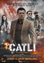 catli.jpg