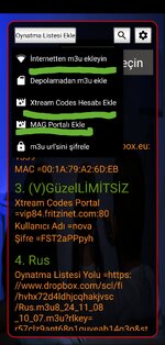 Screenshot_20250115_195514_Ultimate IPTV Loader PRO.jpg
