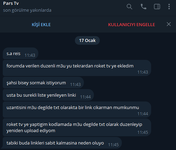 Ekran Alnts