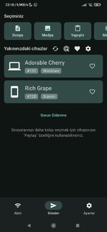 Screenshot_2025-01-17-23-18-25-275_org.localsend.localsend_app.jpg