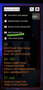 Screenshot_20250120_160230_Ultimate IPTV Loader PRO.jpg