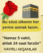 FB_IMG_1785239423582.jpg