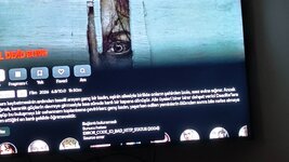IMG_20260804_201837.jpg