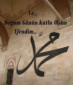 14352.webp