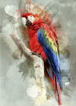 3728.webp