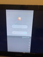 IMG_4269.jpeg