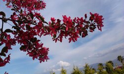 IMAG0286