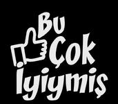 1741256164148