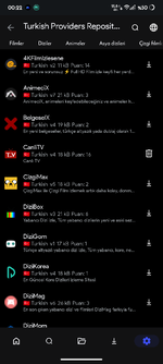 Screenshot_20250315-002258_CloudStream.png