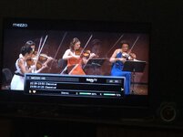 910D708A-7F53-4EA7-A967-E644ED4360E9.jpeg