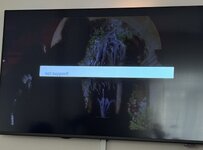 IMG_8307.jpeg