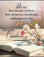 IMG 20250523 WA0016