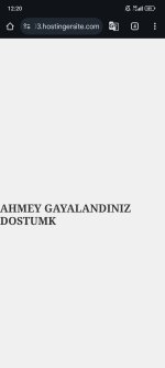 Screenshot_2025-05-27-12-20-41-210_com.android.chrome.jpg