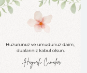 Ekran grnts 2025 05 30 111212