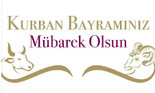 Ekran grnts 2025 06 05 193405